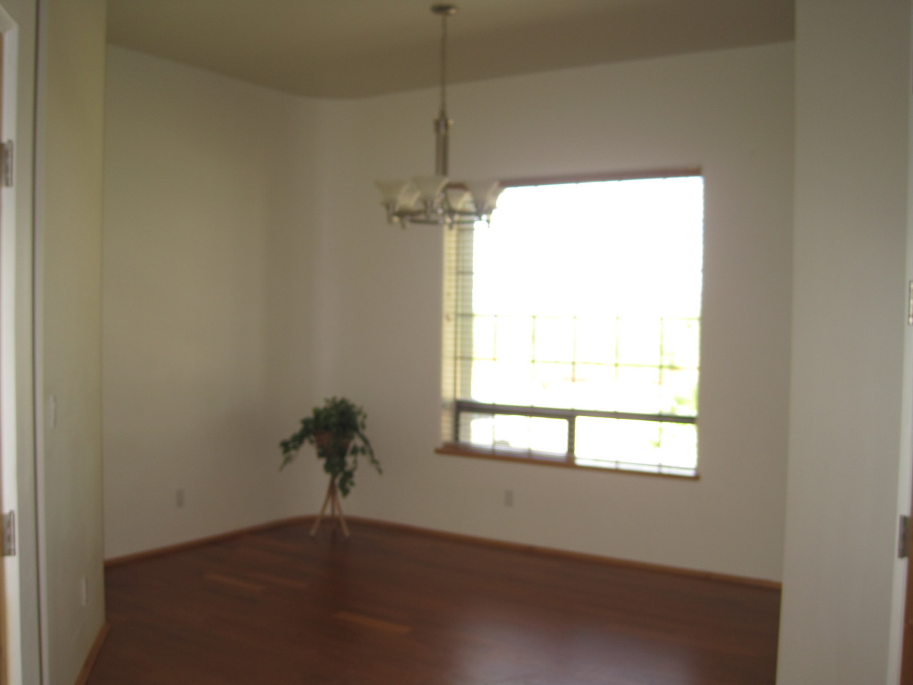 1005 West Dolores Road Phoenix, AZ 85086 - Photo 9 of 28 Formal Dining Room