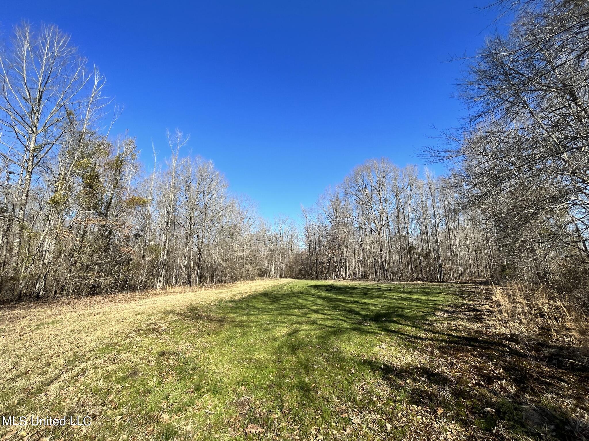 723 Seymour Road Kilmichael, MS 39747 - Photo 1 of 31 Food Plot