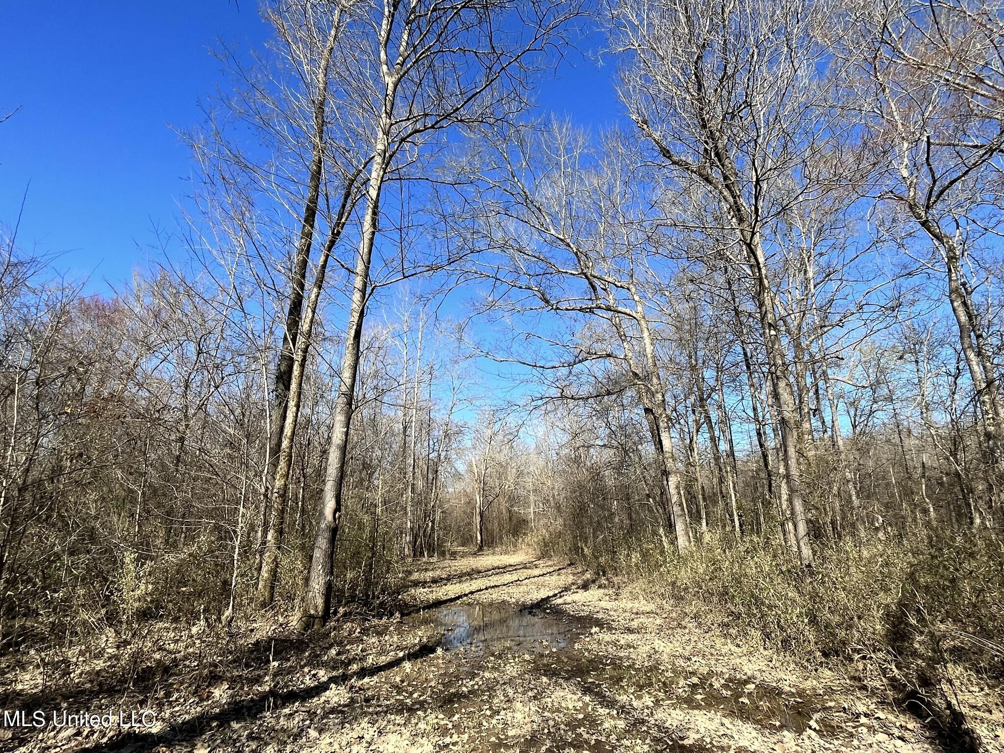 723 Seymour Road Kilmichael, MS 39747 - Photo 11 of 31 IMG_1469