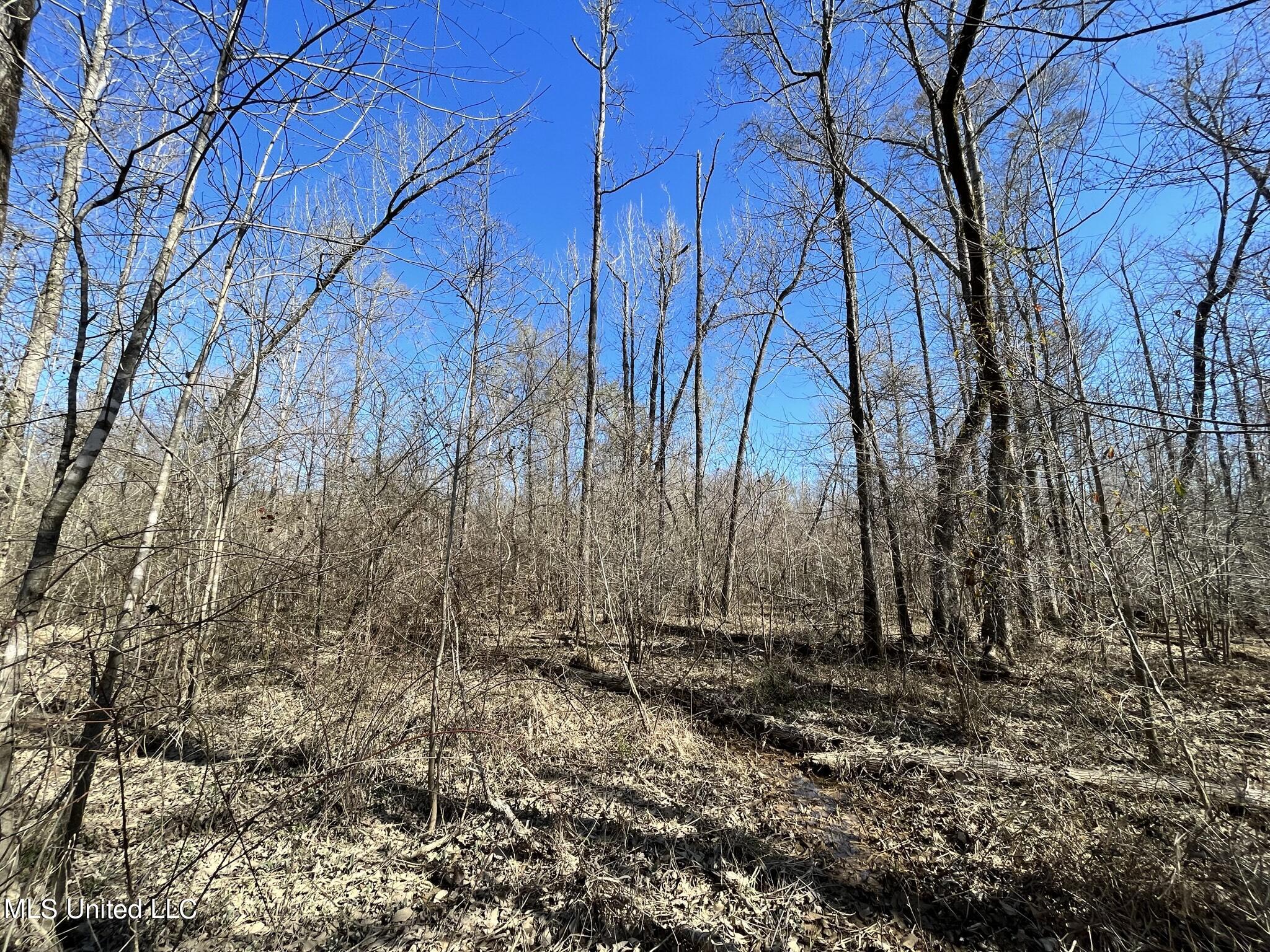 723 Seymour Road Kilmichael, MS 39747 - Photo 16 of 31 IMG_1476