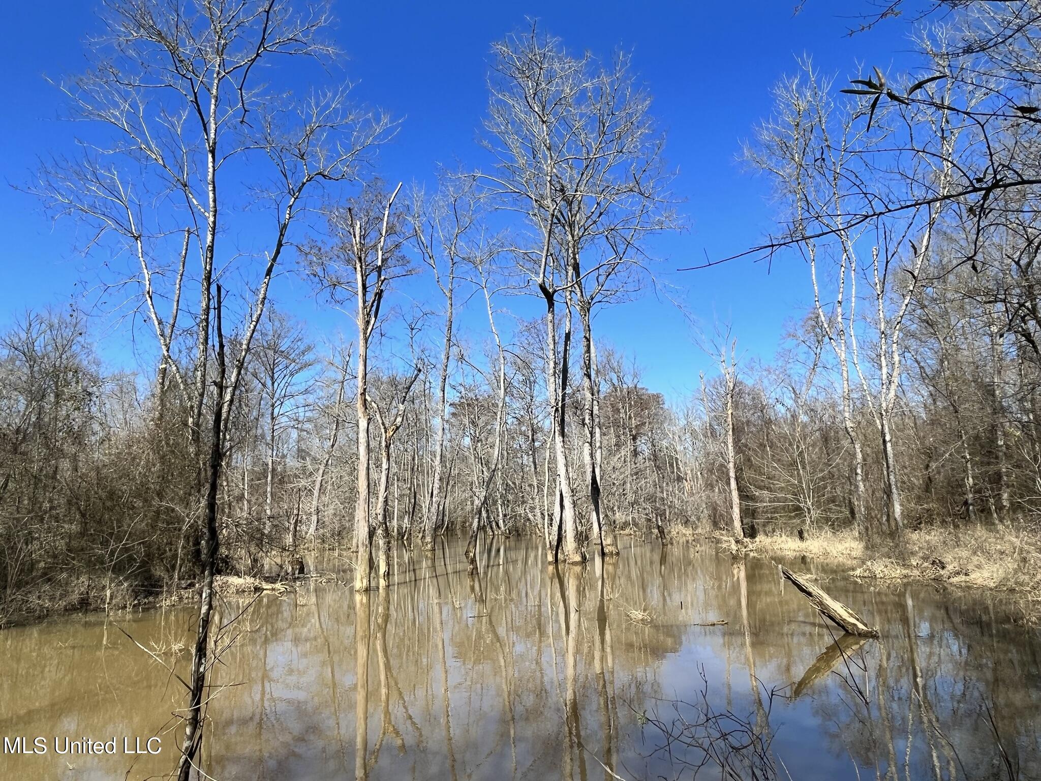 723 Seymour Road Kilmichael, MS 39747 - Photo 19 of 31 IMG_1482