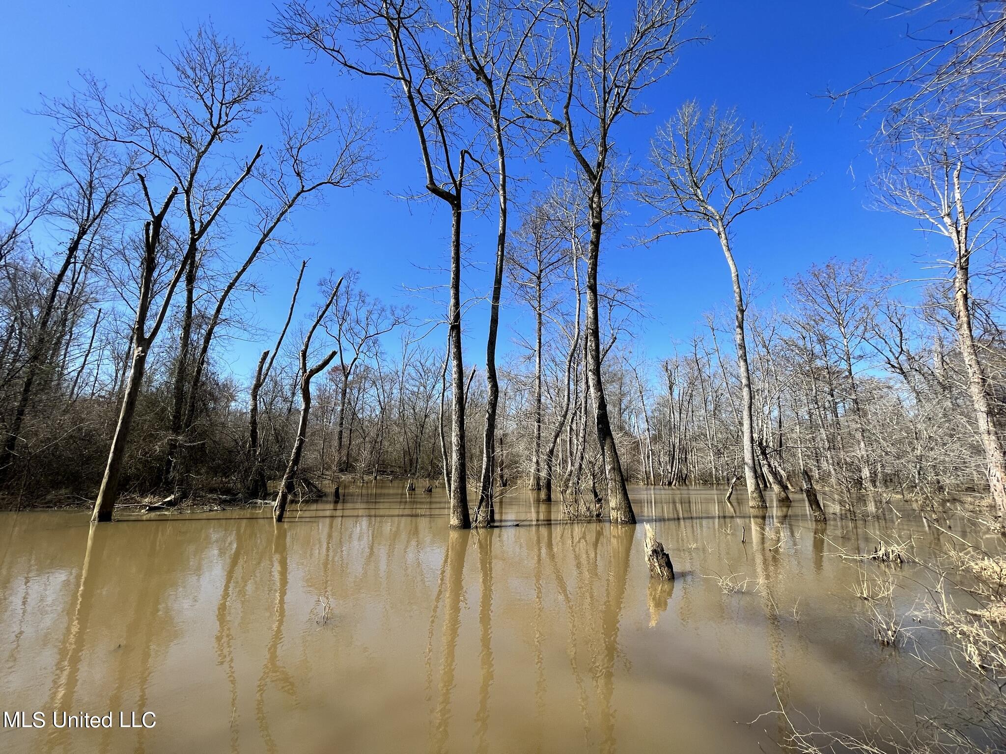 723 Seymour Road Kilmichael, MS 39747 - Photo 20 of 31 IMG_1483
