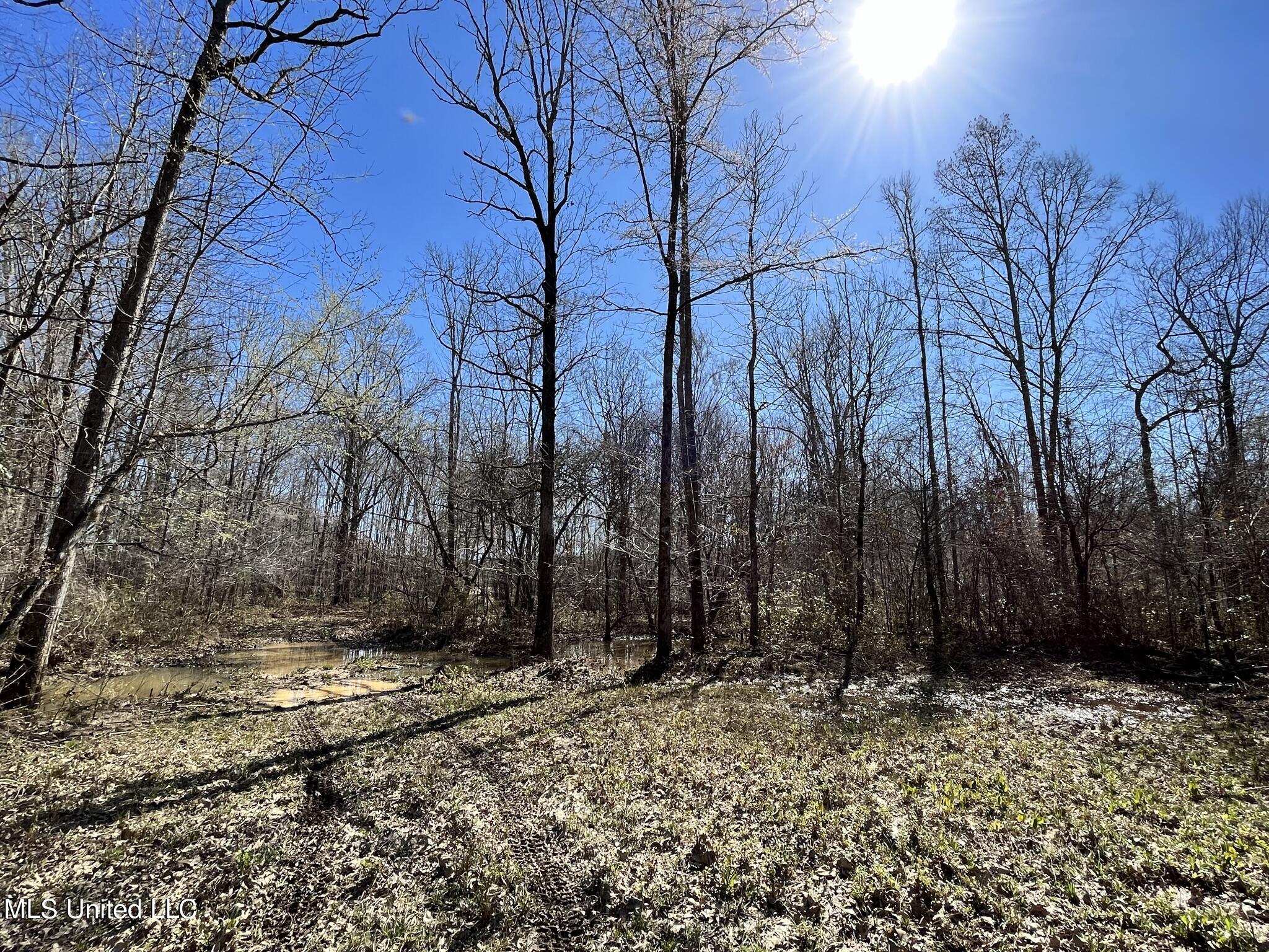 723 Seymour Road Kilmichael, MS 39747 - Photo 21 of 31 IMG_1486