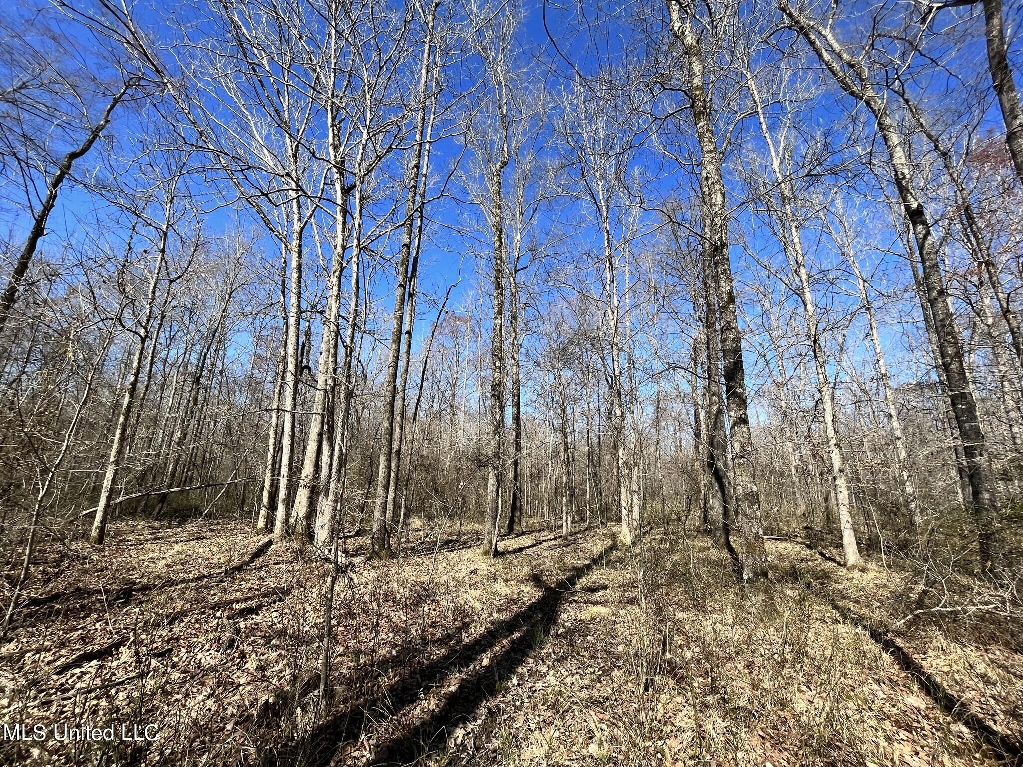 723 Seymour Road Kilmichael, MS 39747 - Photo 22 of 31 IMG_1488