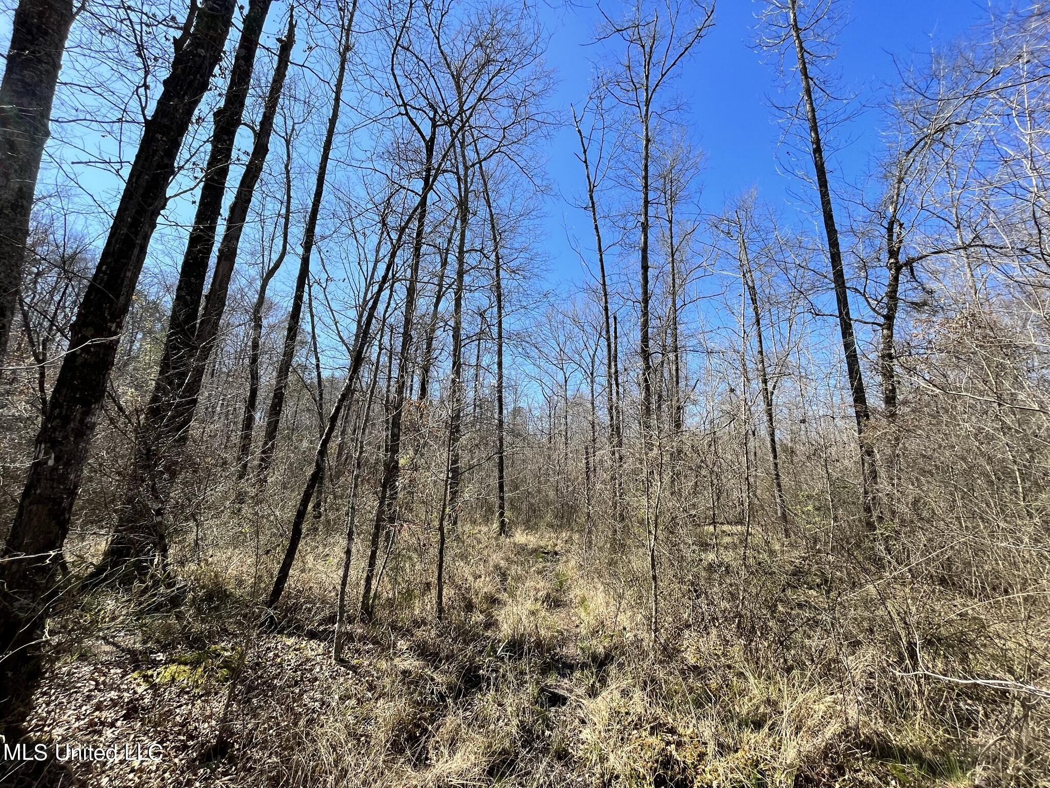 723 Seymour Road Kilmichael, MS 39747 - Photo 23 of 31 IMG_1489