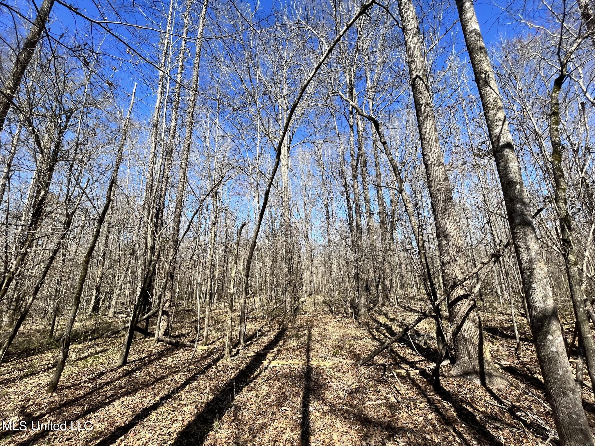 723 Seymour Road Kilmichael, MS 39747 - Photo 24 of 31 IMG_1490