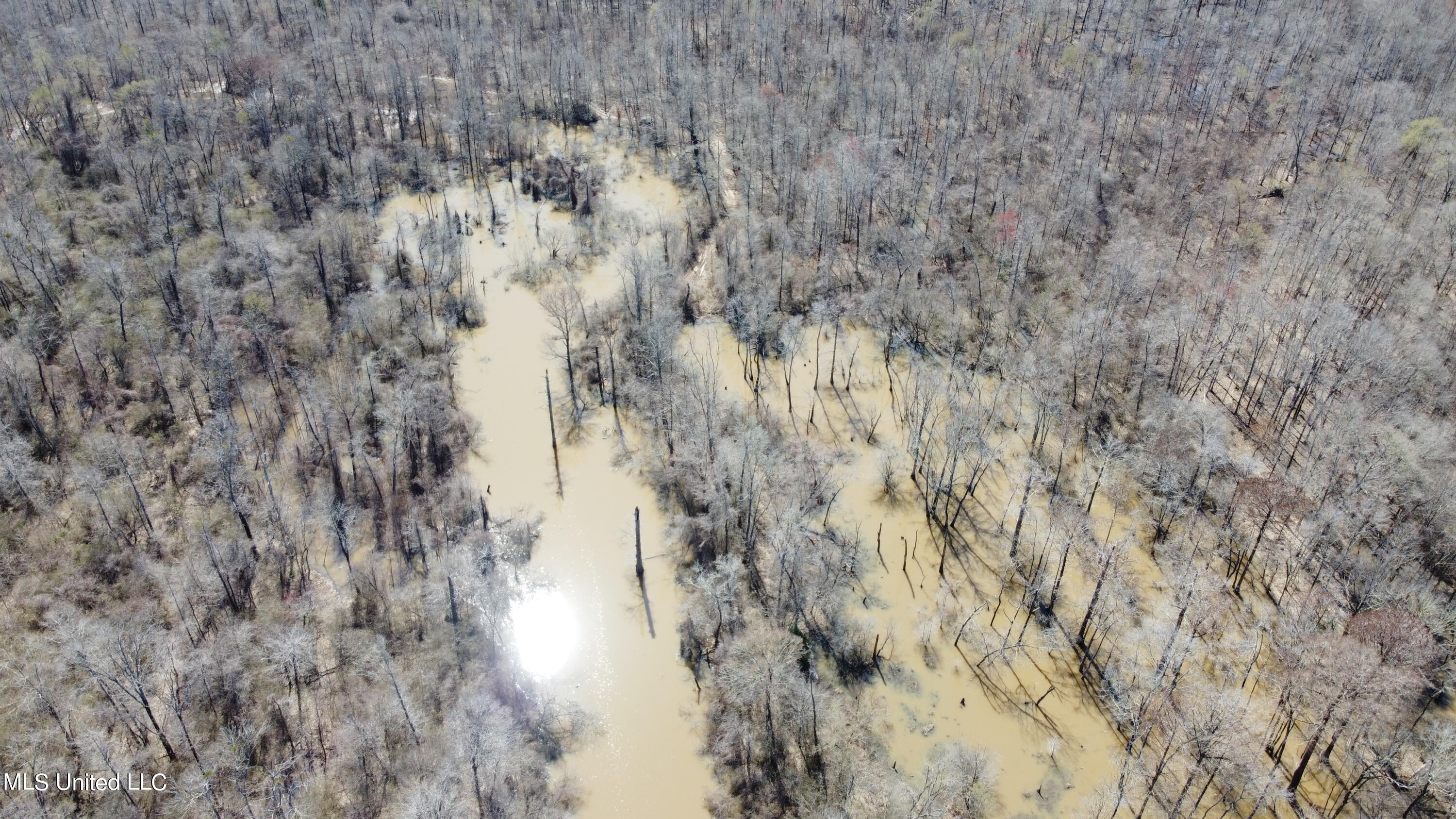 723 Seymour Road Kilmichael, MS 39747 - Photo 5 of 31 Photo_6553891_DJI_291_jpg_4138807_0_2022