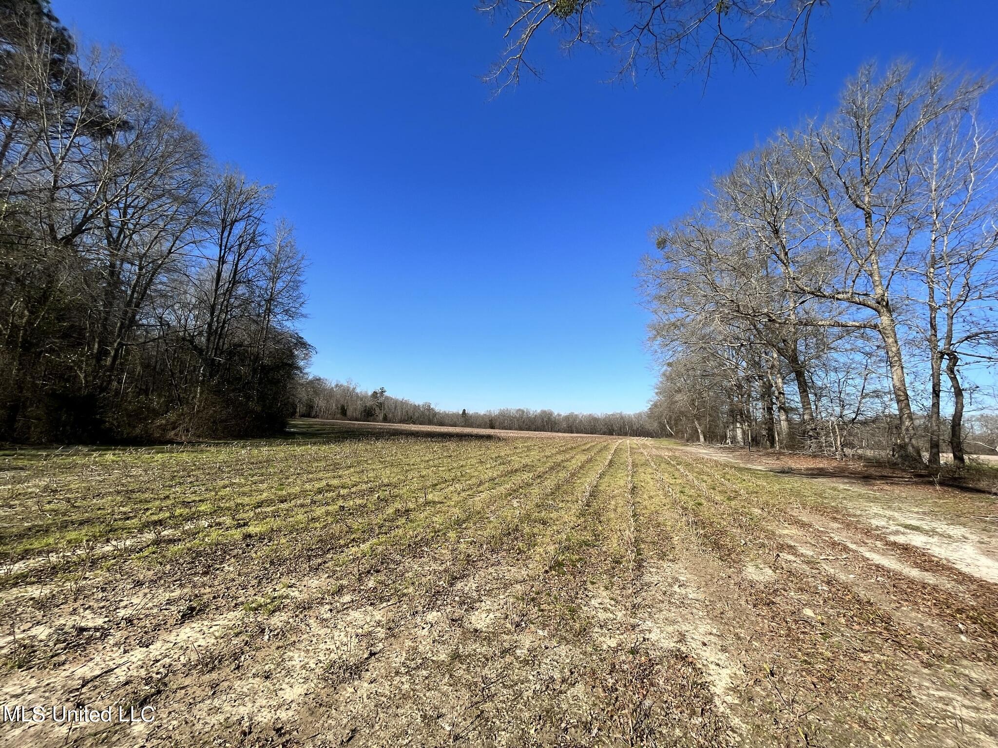 723 Seymour Road Kilmichael, MS 39747 - Photo 8 of 31 IMG_1464