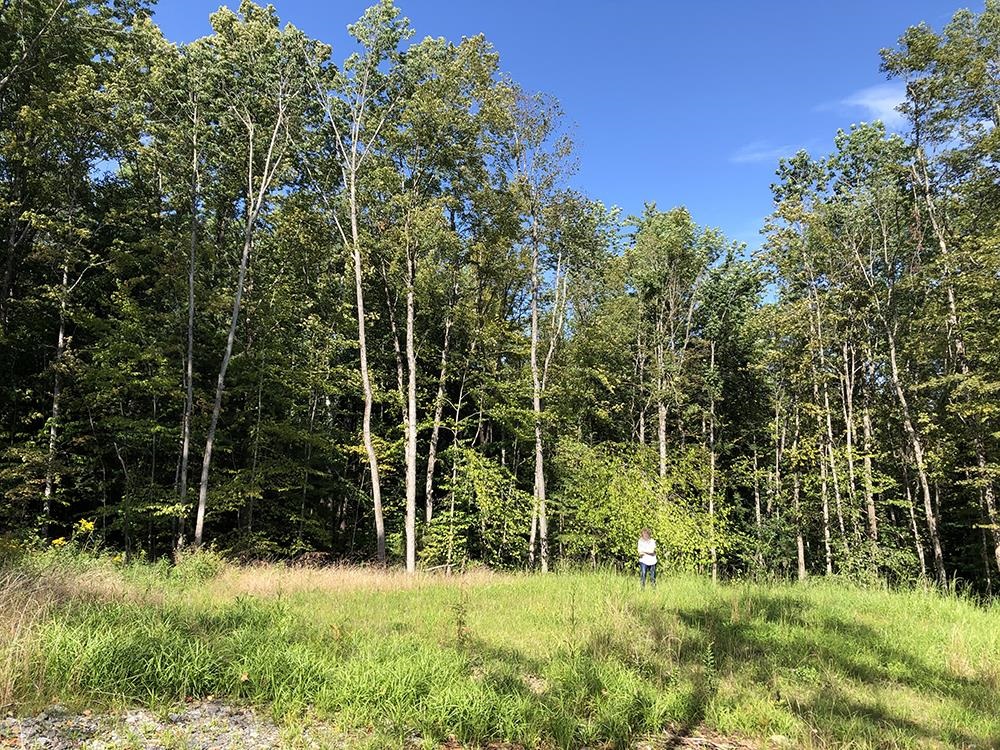 111 Gib Lockerby Road Grafton, VT 05146 - Photo 11 of 18