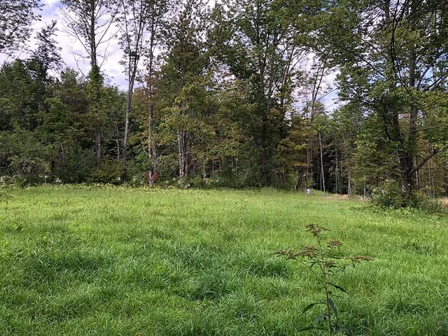 $120,000 | 111 Gib Lockerby Road, Grafton, VT 05146