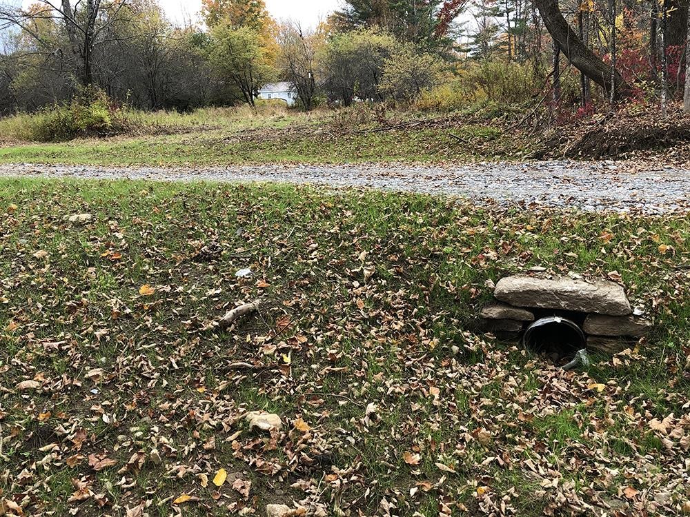 111 Gib Lockerby Road Grafton, VT 05146 - Photo 15 of 18