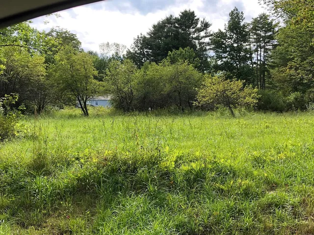 $120,000 | 111 Gib Lockerby Road, Grafton, VT 05146