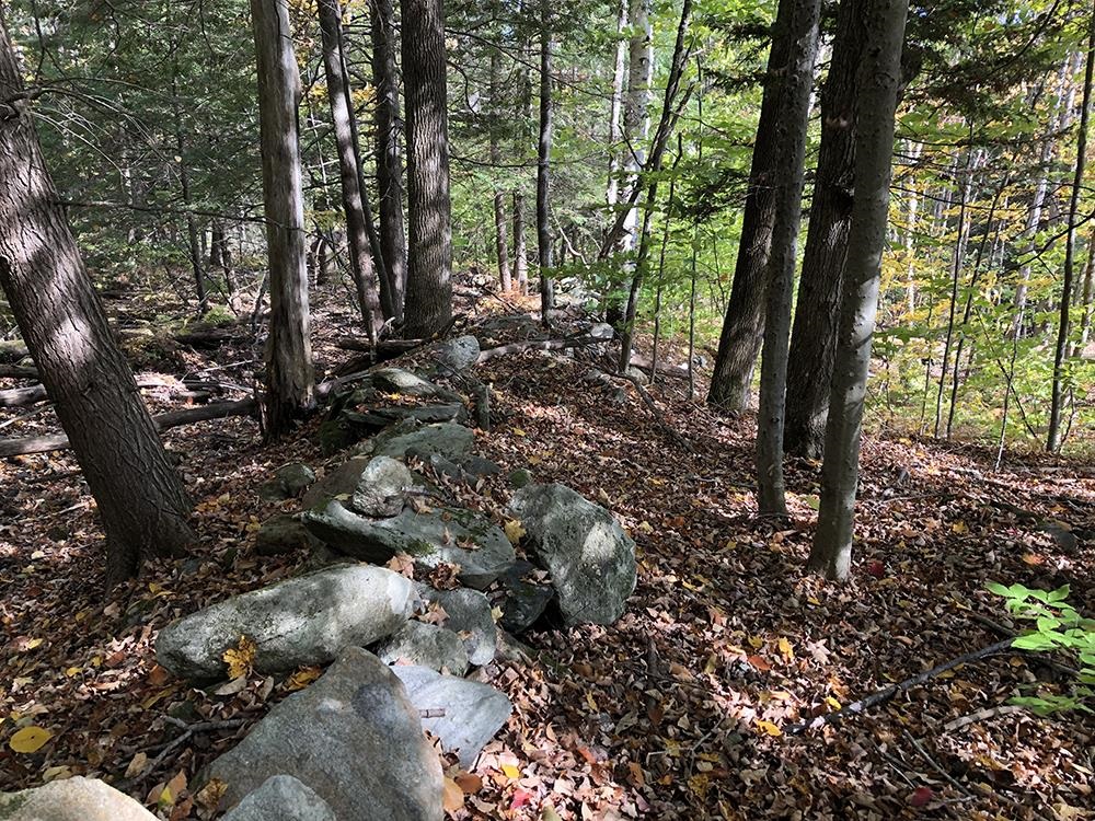 111 Gib Lockerby Road Grafton, VT 05146 - Photo 7 of 18