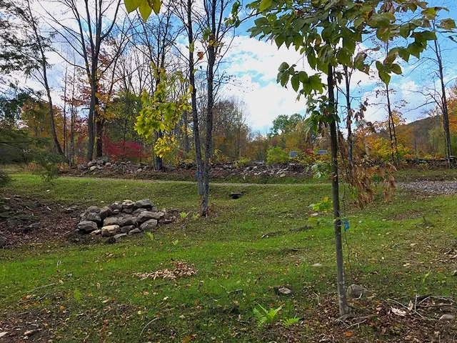 $120,000 | 111 Gib Lockerby Road, Grafton, VT 05146