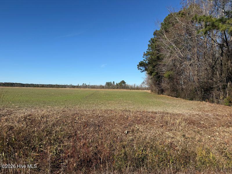 2056 Highway 903 Stokes, NC 27884 - Photo 2 of 9 2