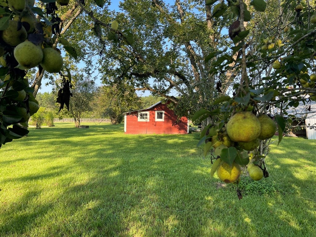 1168 Mitchell Road Meigs, GA 31765 - Photo 38 of 62 Gallery Image 38