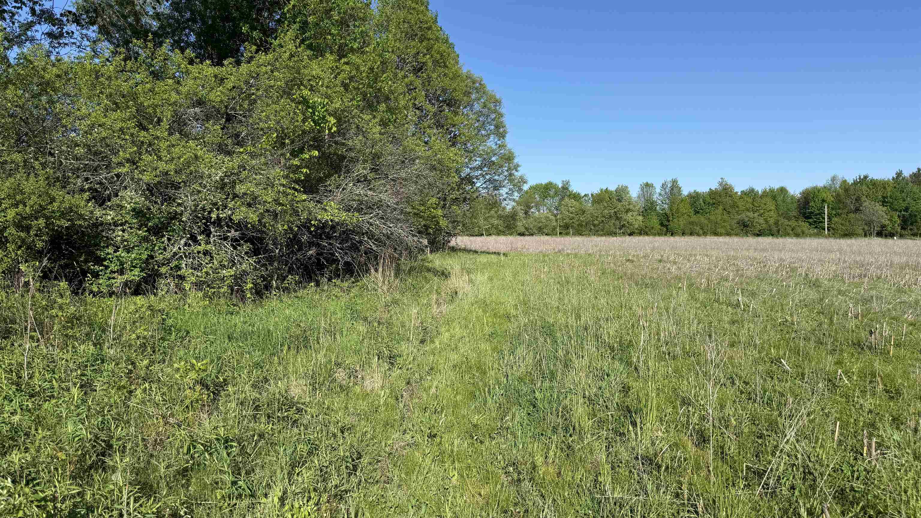 Lot 3 Eau Claire River Road Ringle, WI 54471 - Photo 10 of 28