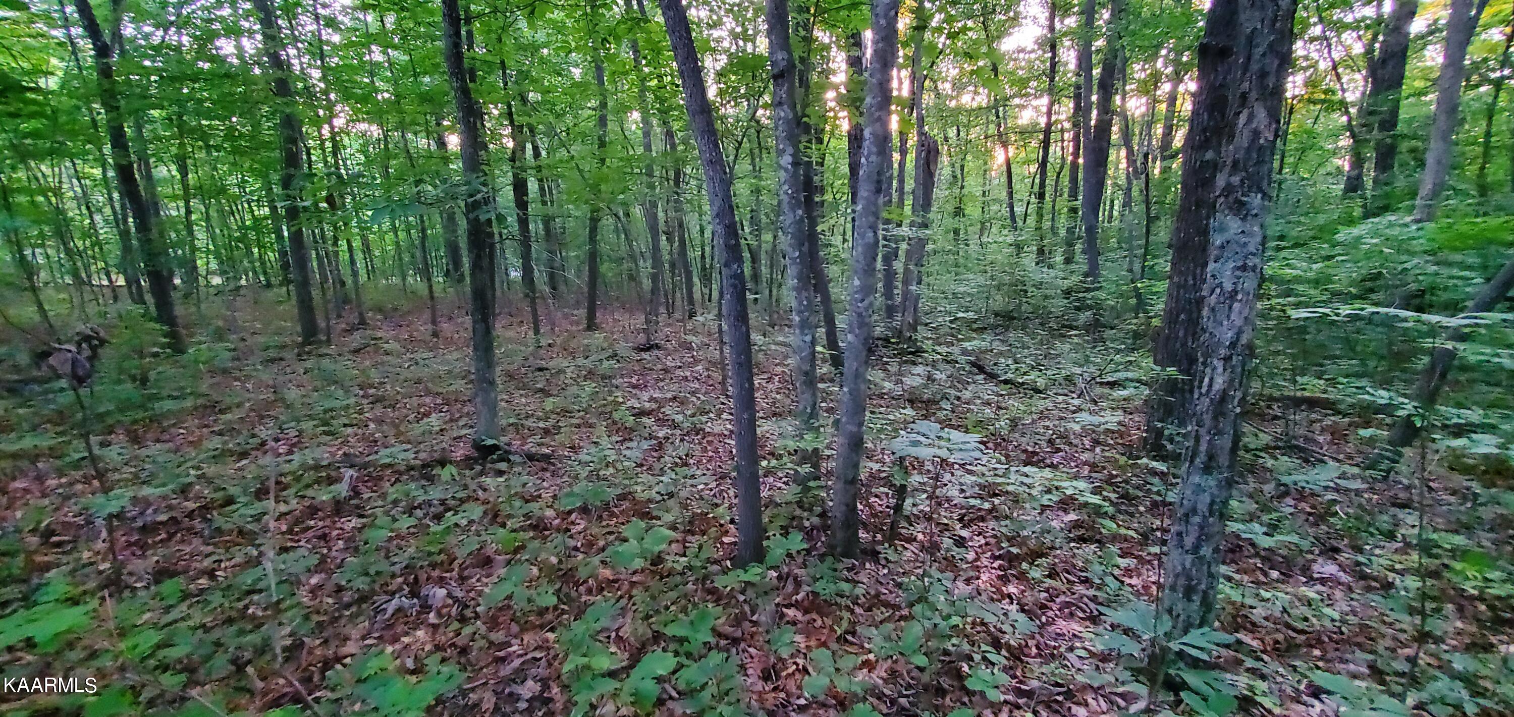 West Laurel Way Monterey, TN 38574 - Photo 1 of 26 20230710_194608