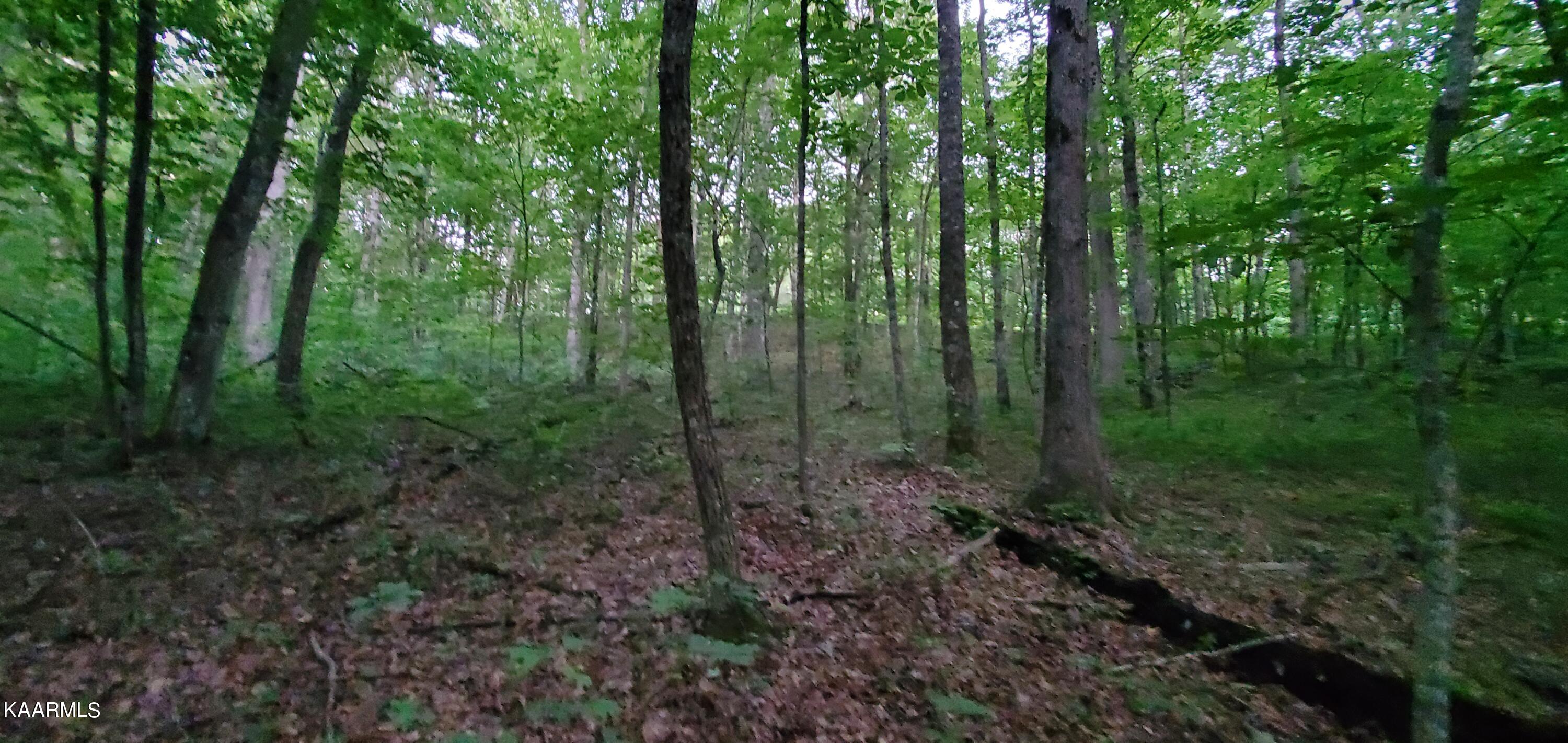 West Laurel Way Monterey, TN 38574 - Photo 11 of 26 20230710_195453