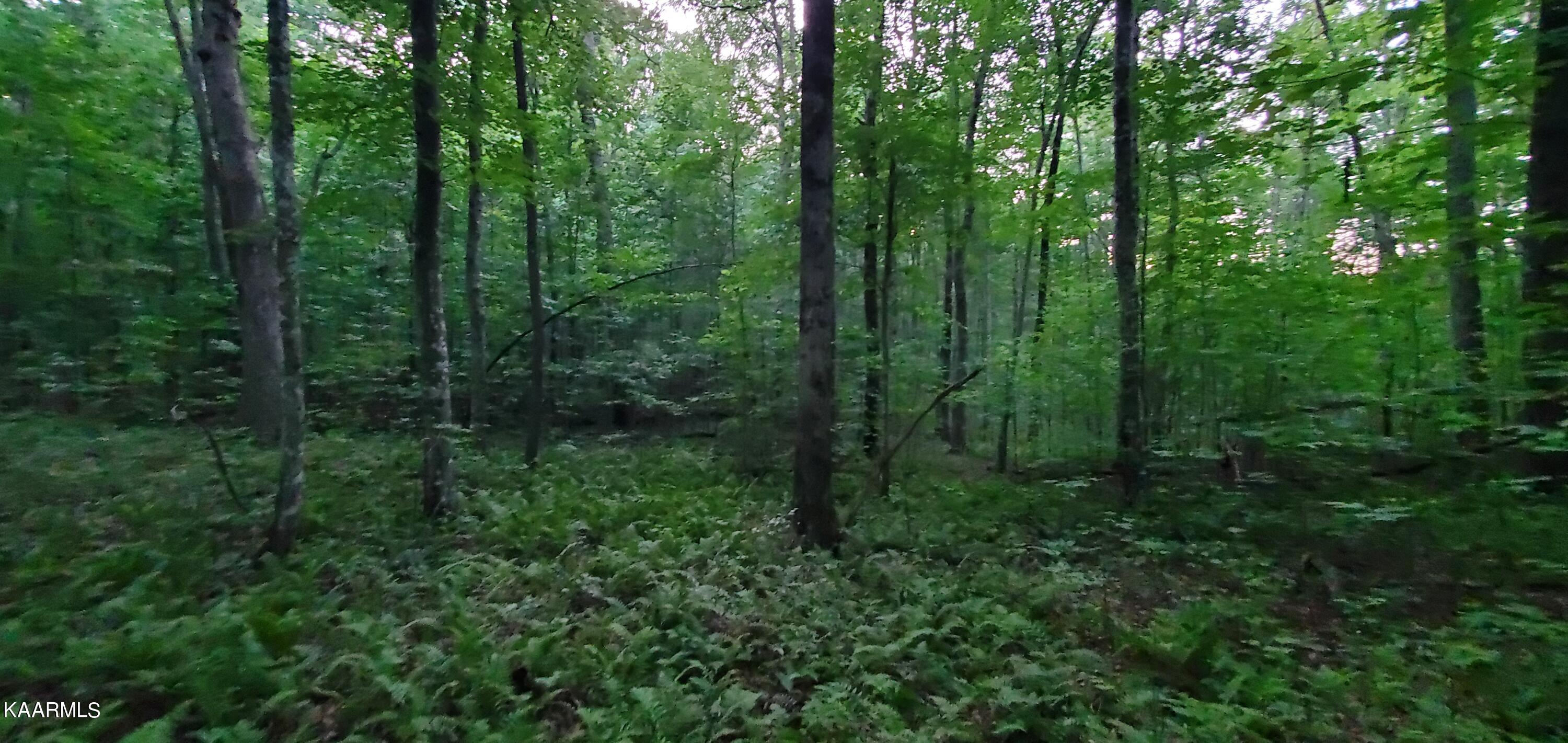 West Laurel Way Monterey, TN 38574 - Photo 13 of 26 20230710_195251