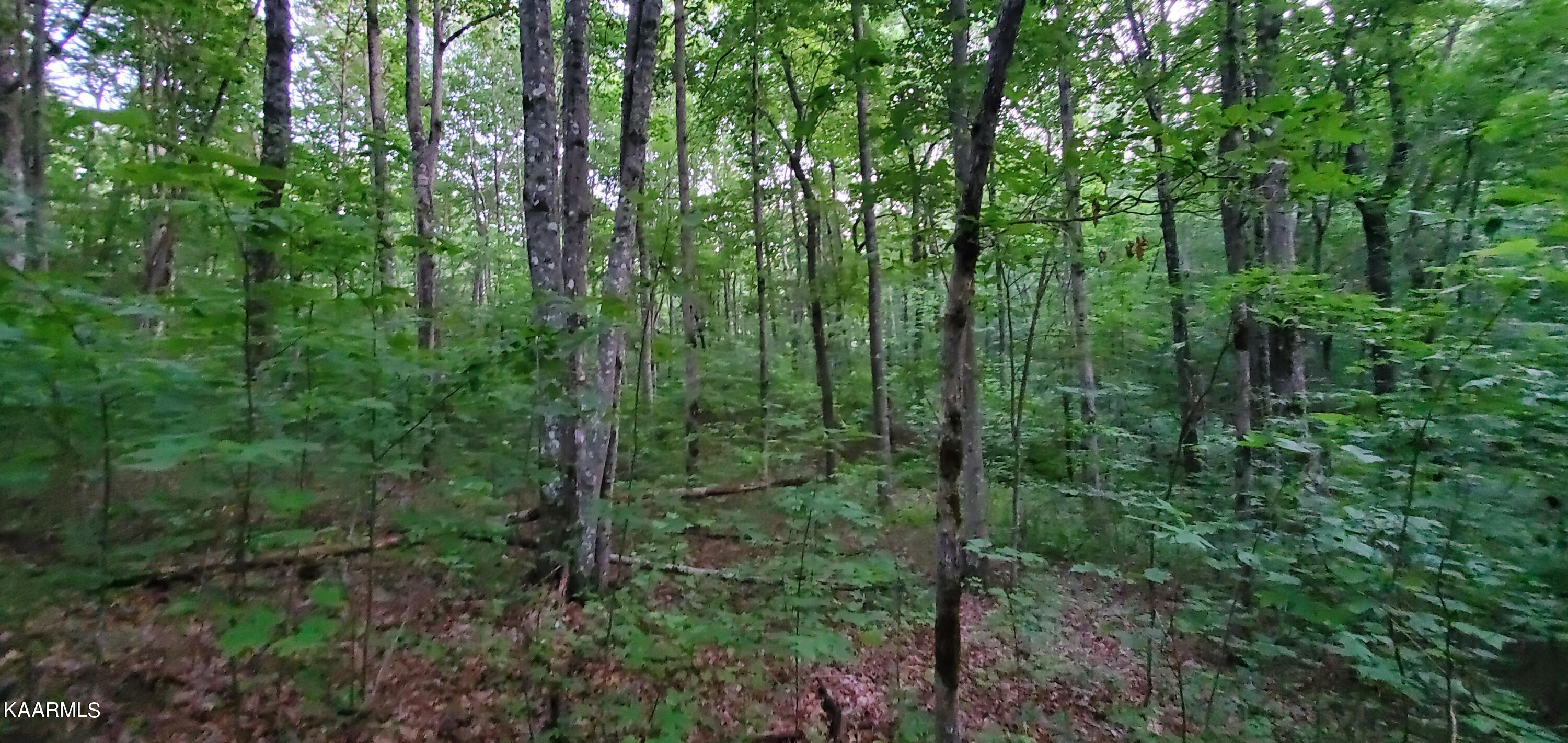 West Laurel Way Monterey, TN 38574 - Photo 16 of 26 20230710_195156