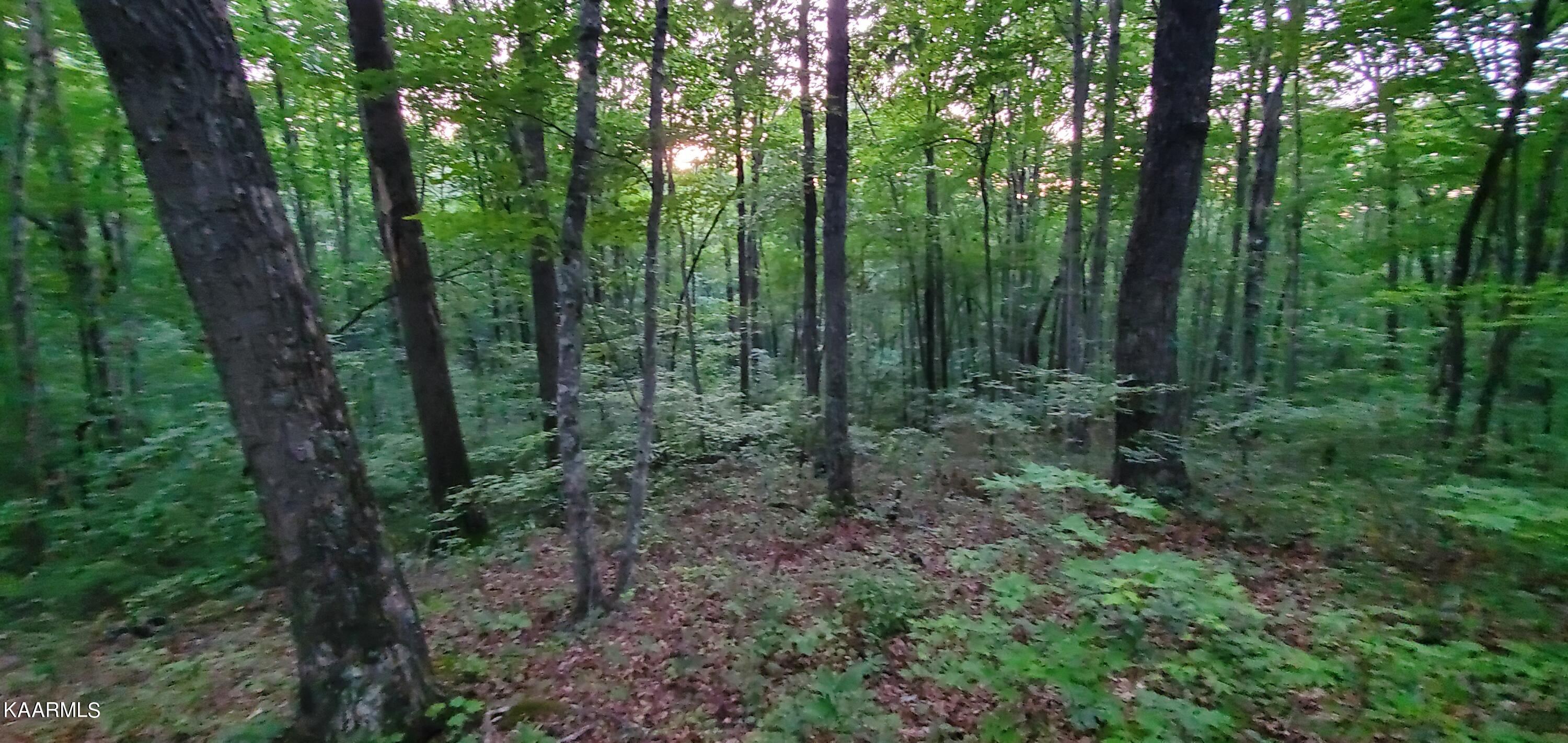 West Laurel Way Monterey, TN 38574 - Photo 19 of 26 20230710_195008