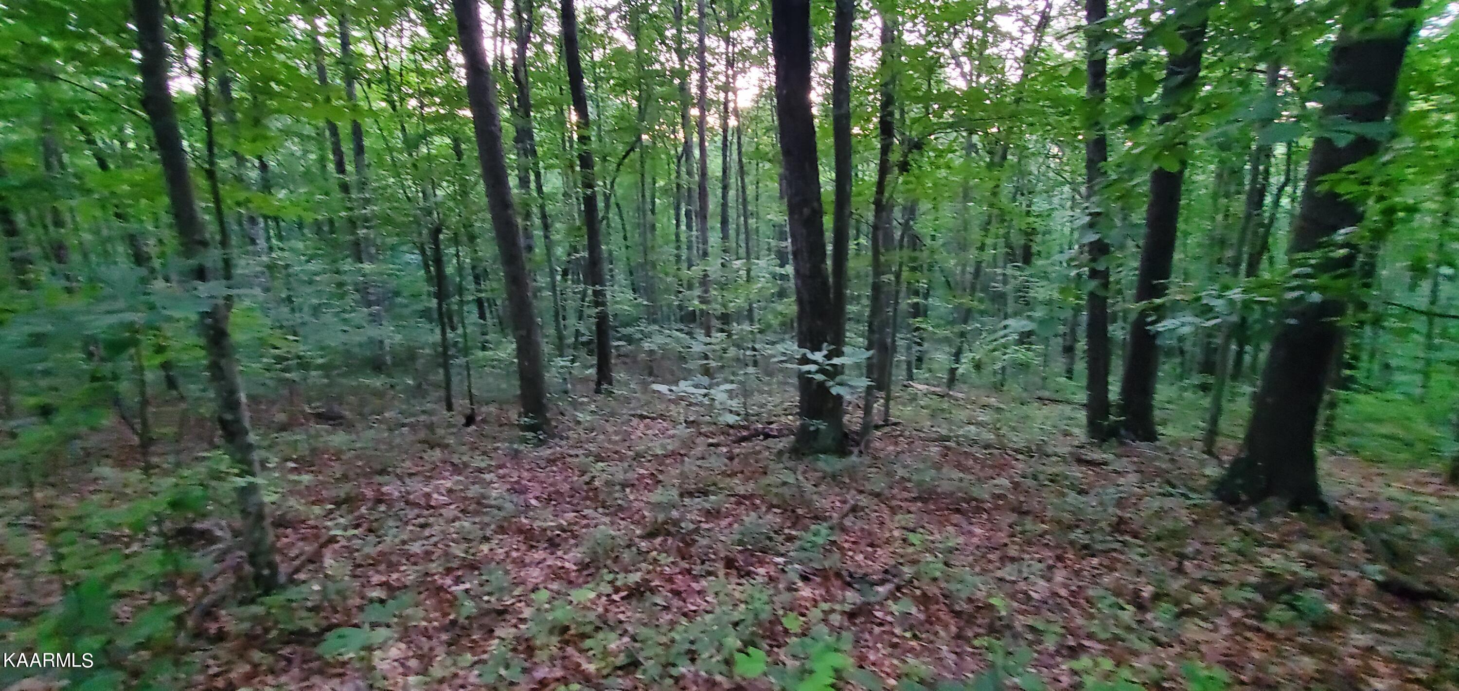 West Laurel Way Monterey, TN 38574 - Photo 21 of 26 20230710_194924