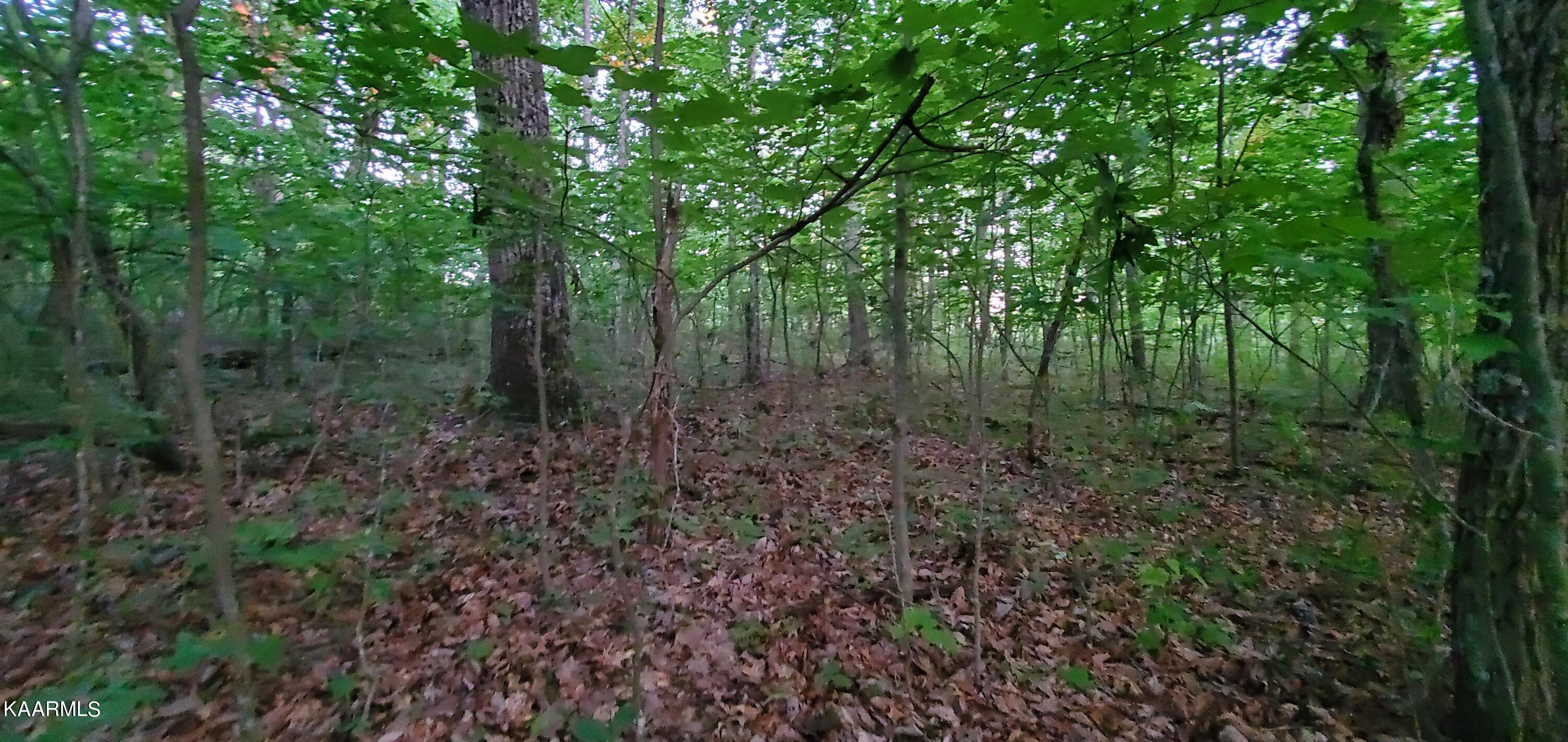 West Laurel Way Monterey, TN 38574 - Photo 23 of 26 20230710_194754
