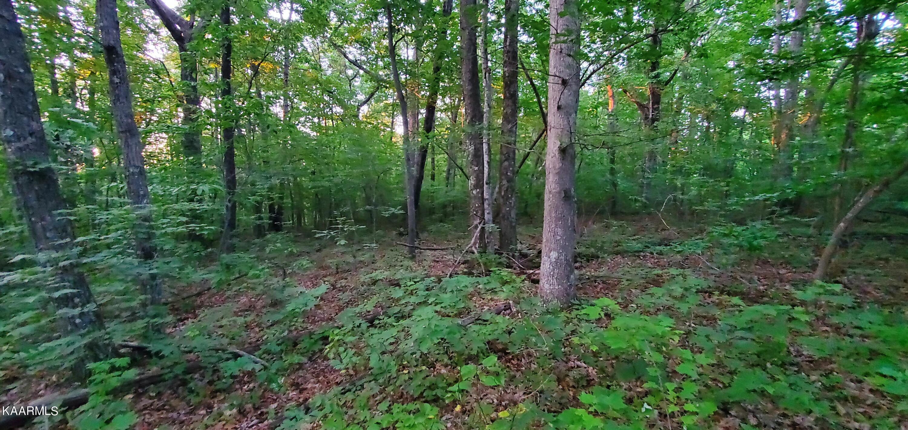 West Laurel Way Monterey, TN 38574 - Photo 25 of 26 20230710_194617