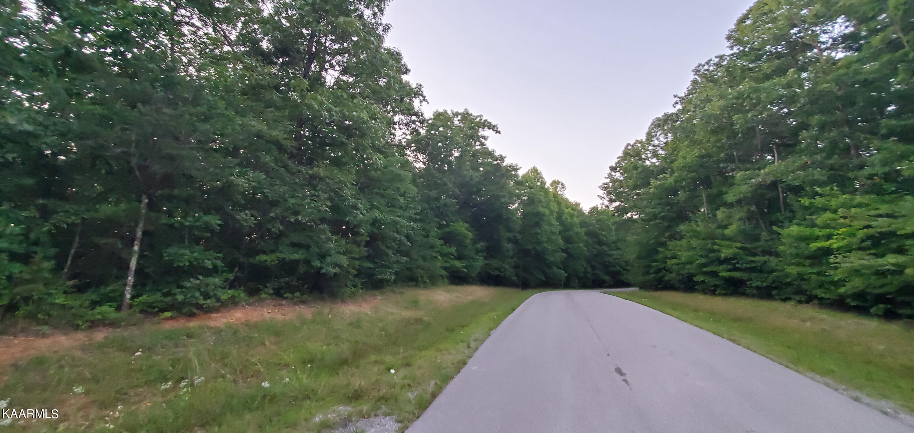 West Laurel Way Monterey, TN 38574 - Photo 5 of 26 20230710_200318