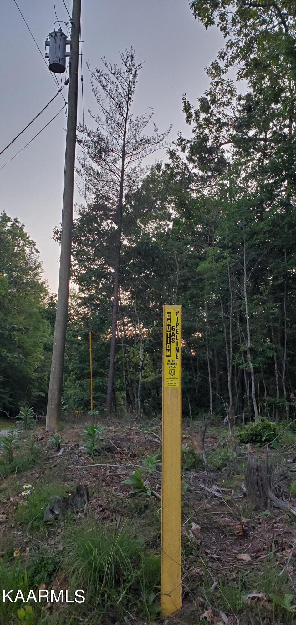 West Laurel Way Monterey, TN 38574 - Photo 6 of 26 20230710_200252