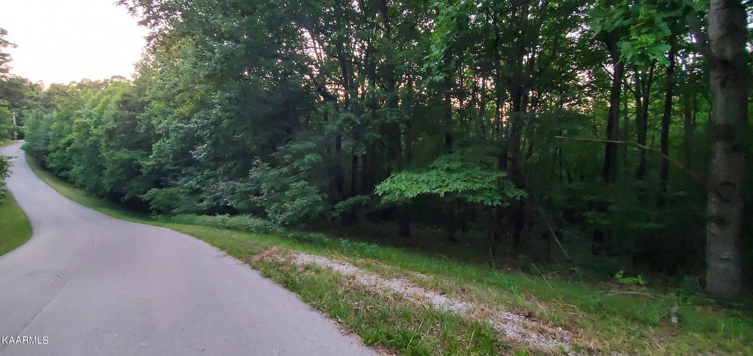 West Laurel Way Monterey, TN 38574 - Photo 7 of 26 20230710_200055