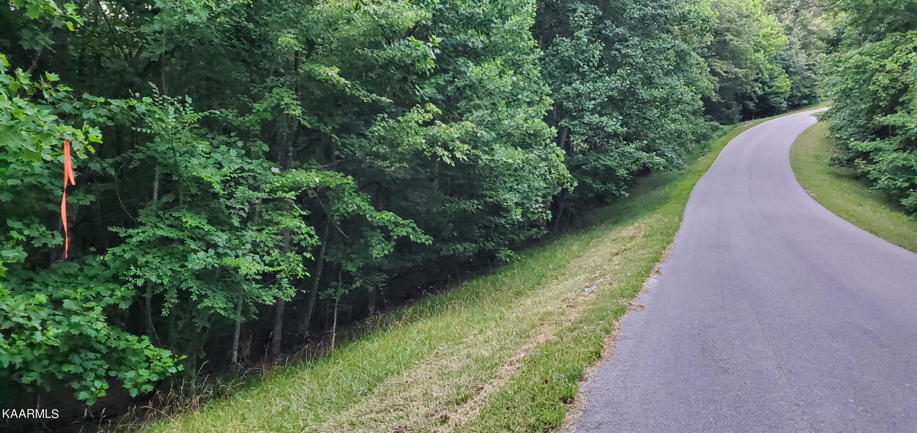 West Laurel Way Monterey, TN 38574 - Photo 8 of 26 20230710_195928