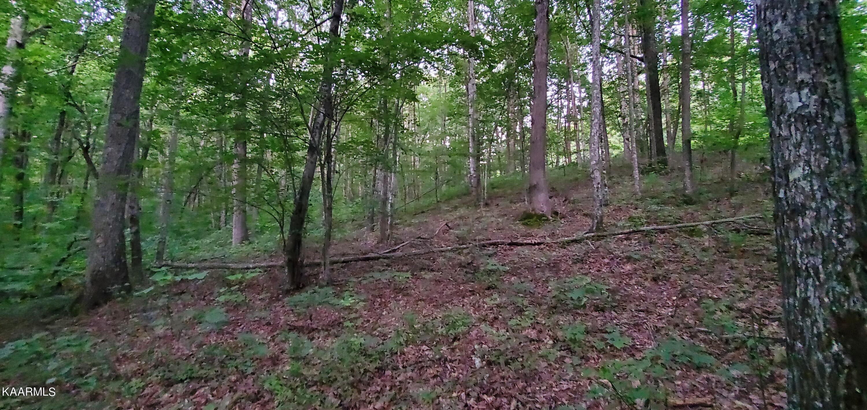 West Laurel Way Monterey, TN 38574 - Photo 10 of 26 20230710_195533