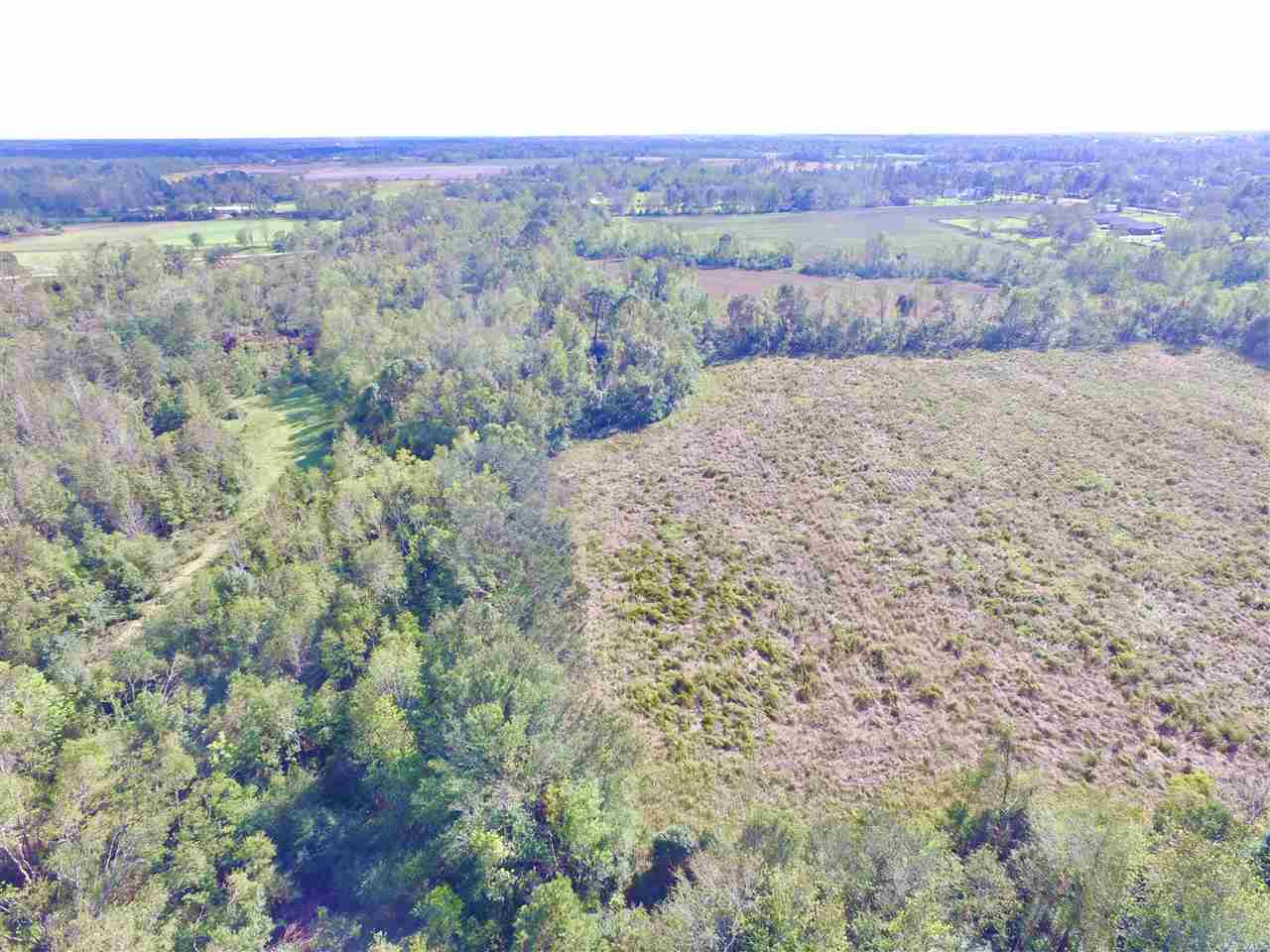 10260 County Road 32 Fairhope, AL 36532 - Photo 5 of 24