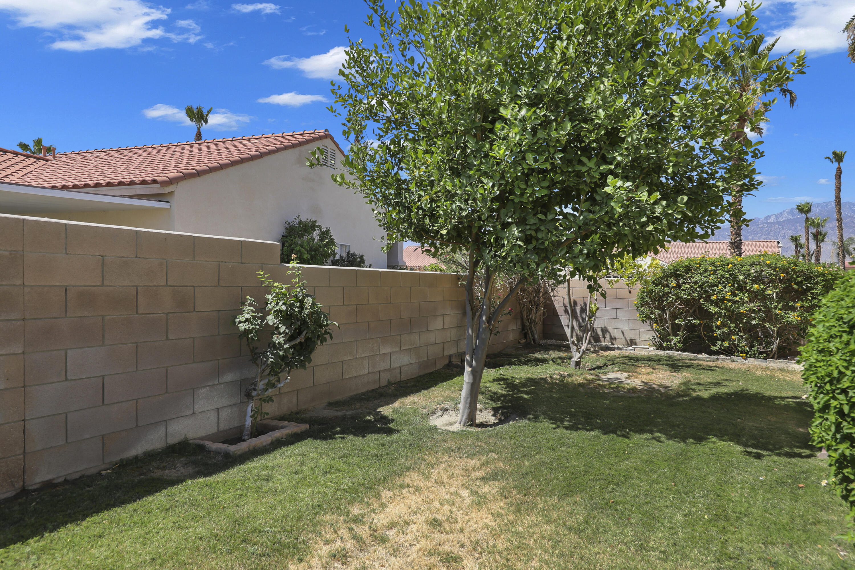68256 Pasada Road Cathedral City, CA 92234 - Photo 29 of 35 a view of a backyard