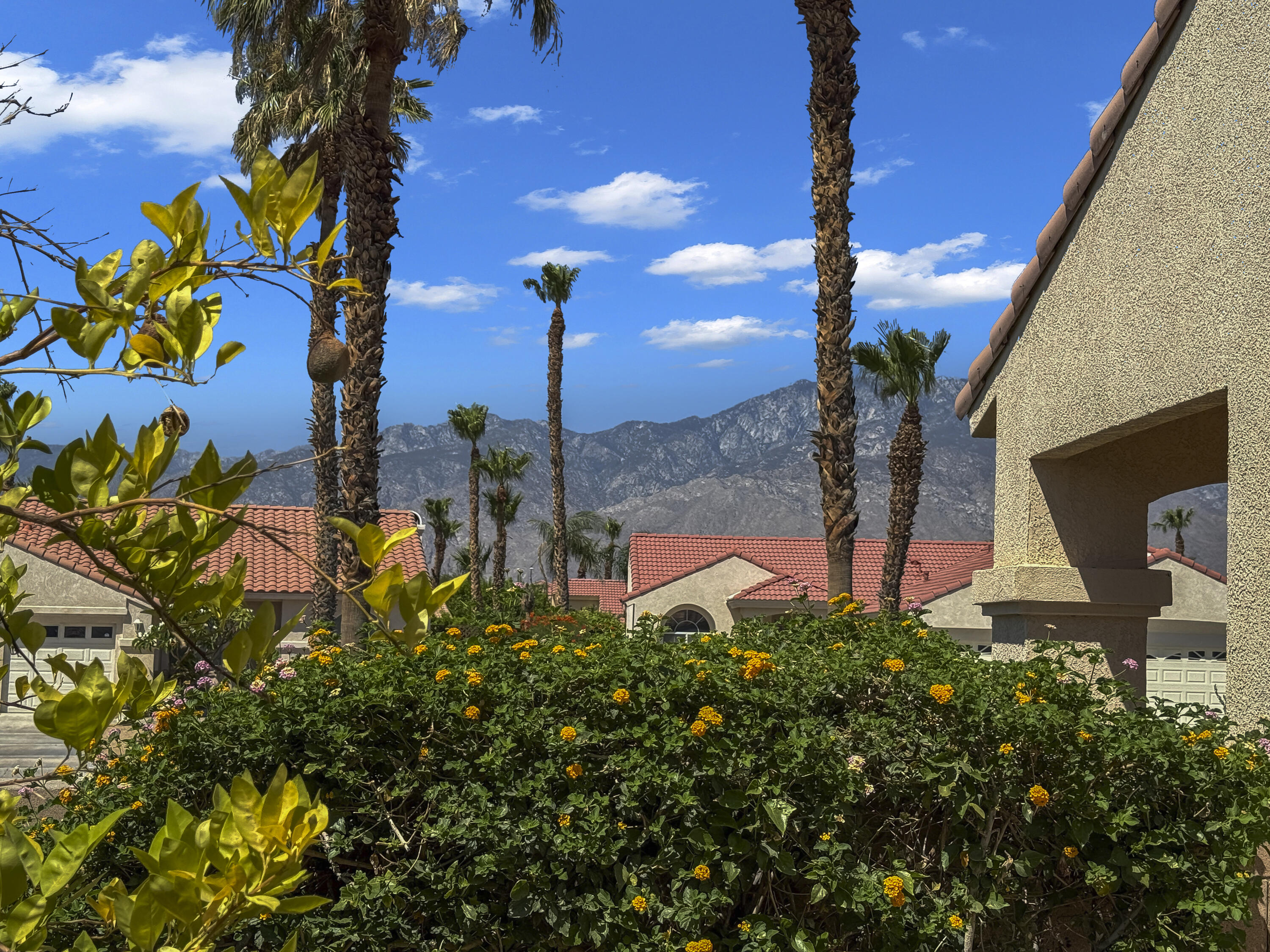 68256 Pasada Road Cathedral City, CA 92234 - Photo 31 of 35 a front view of a house with a yard