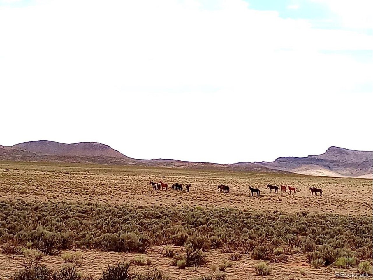 40 County Road Sanford, CO 81151 - Photo 1 of 19