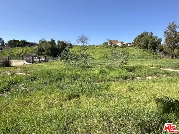 a big yard with lots of green space