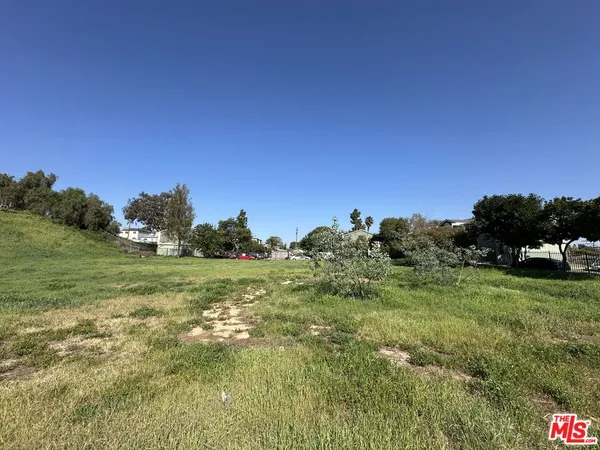 a view of a grassy field with trees