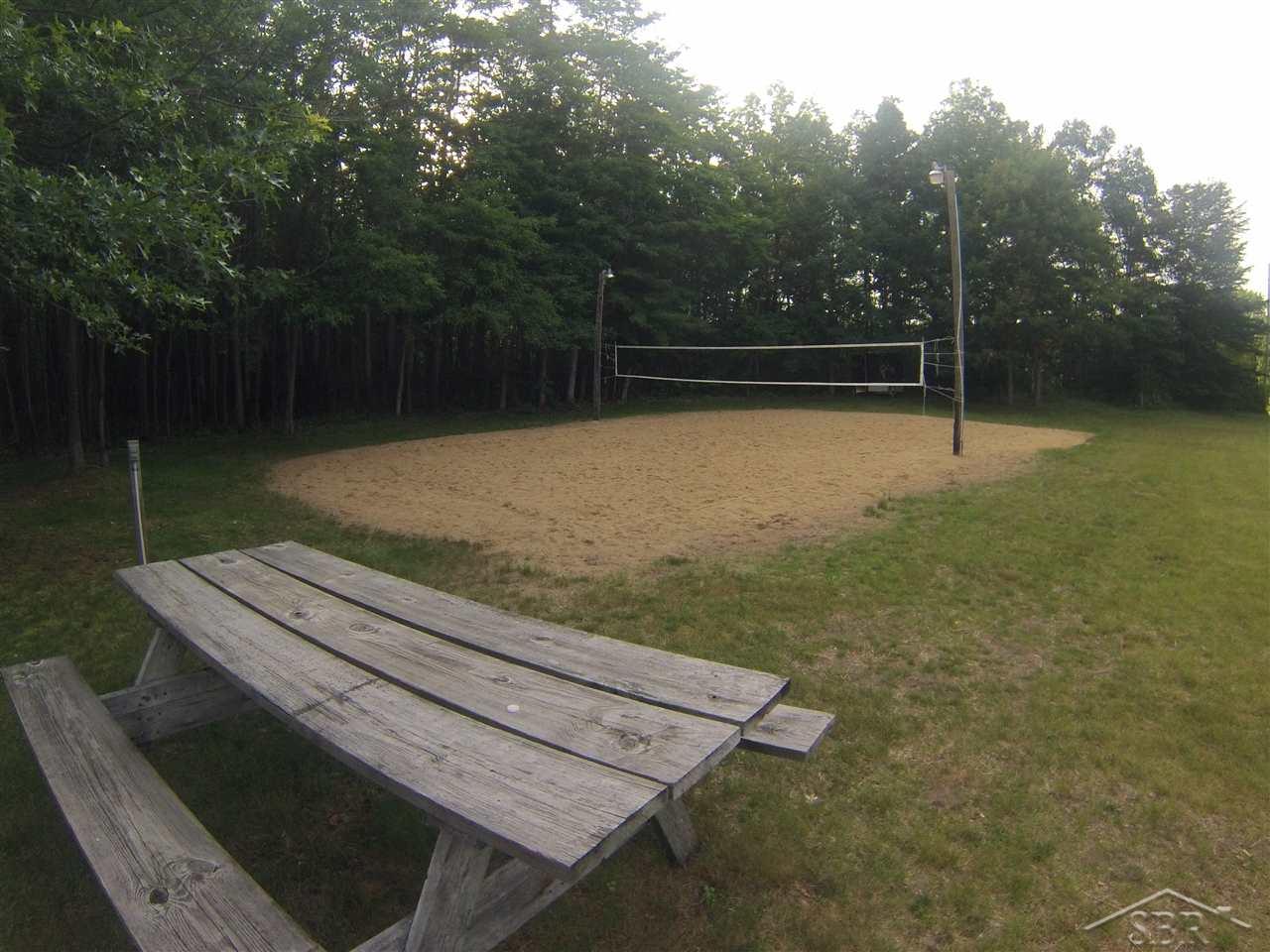 18097 West Townline Road St. Charles, MI 48655 - Photo 34 of 35 Full size lighted volleyball court.