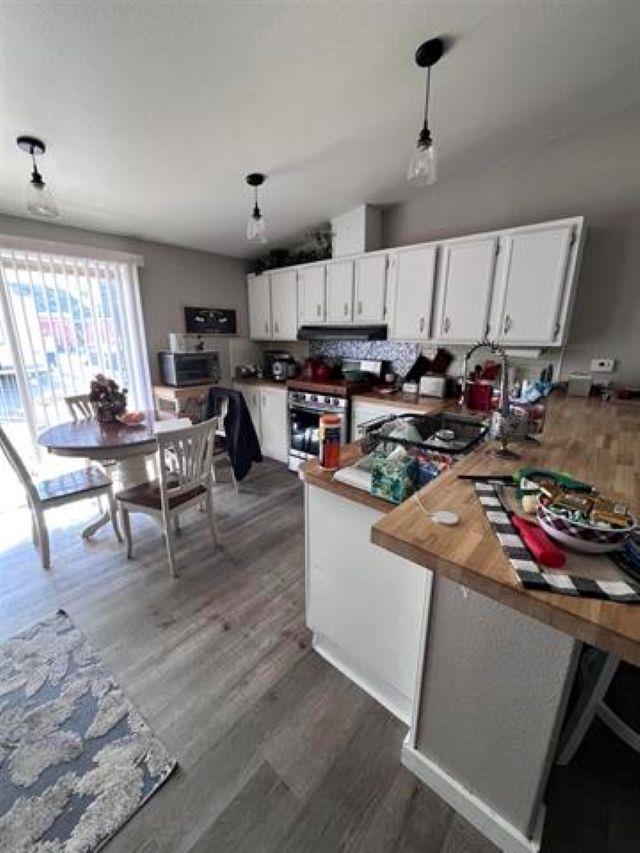 493 Mule Deer Road Coleville, CA 96107 - Photo 6 of 21 Kitchen with a peninsula, white cabinets, stainless steel appliances, dark wood-style floors, and decorative light fixtures