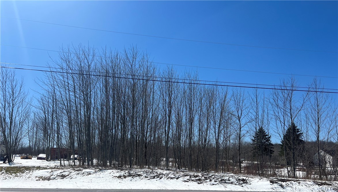 177 State Route Copenhagen, NY 13626 - Photo 1 of 5