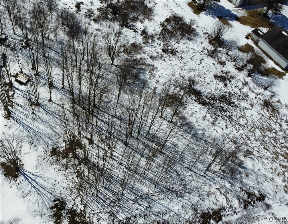 177 State Route Copenhagen, NY 13626 - Photo 4 of 5