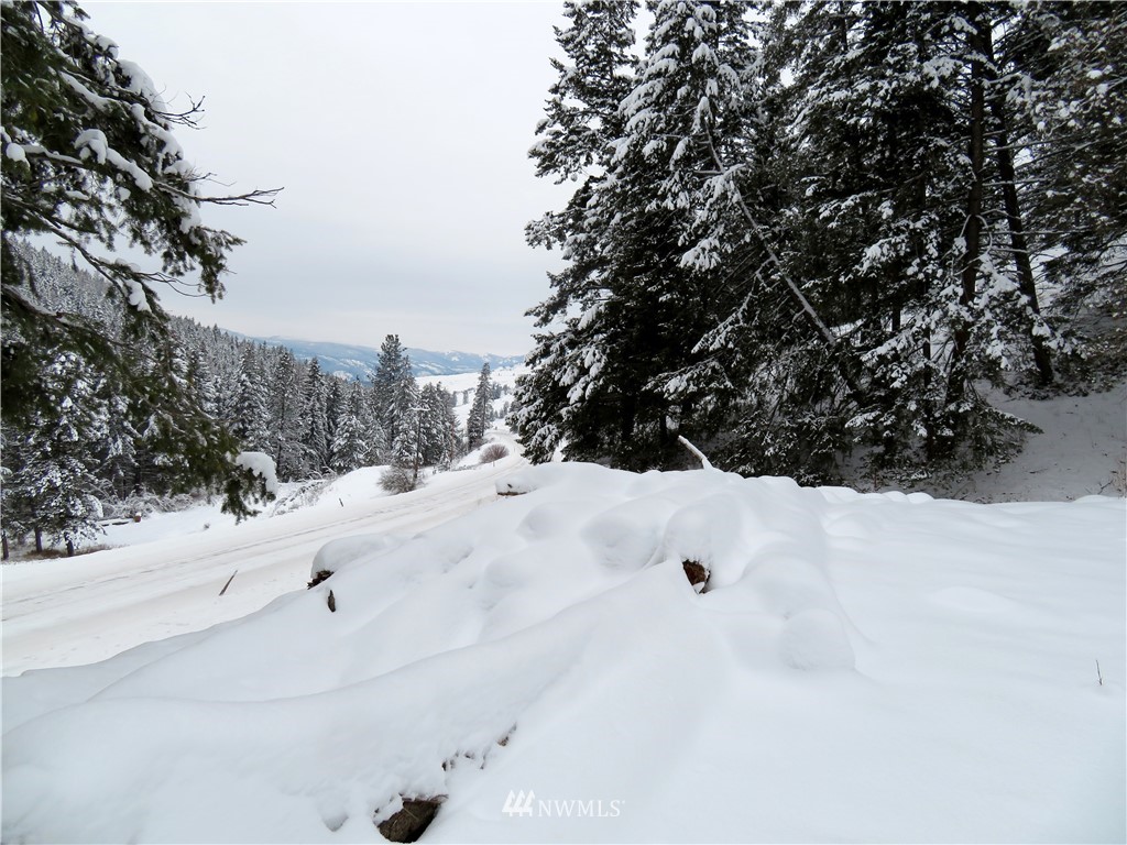 367 Boulder Creek Road Curlew, WA 99118 - Photo 12 of 18 Gallery Image 12