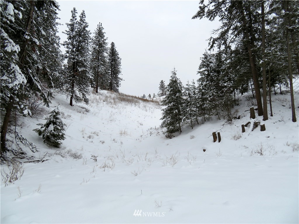 367 Boulder Creek Road Curlew, WA 99118 - Photo 13 of 18 Gallery Image 13