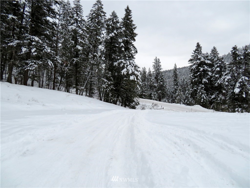 367 Boulder Creek Road Curlew, WA 99118 - Photo 16 of 18 Gallery Image 16