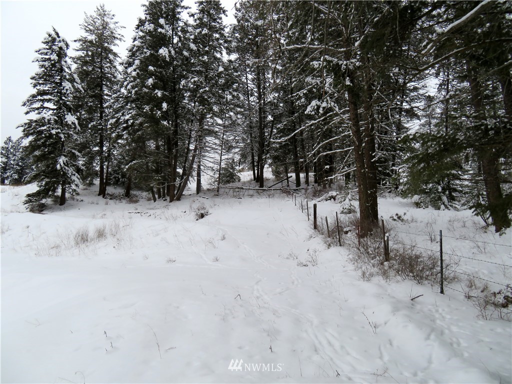 367 Boulder Creek Road Curlew, WA 99118 - Photo 17 of 18 Gallery Image 17
