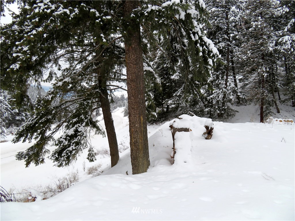 367 Boulder Creek Road Curlew, WA 99118 - Photo 10 of 18 Gallery Image 10