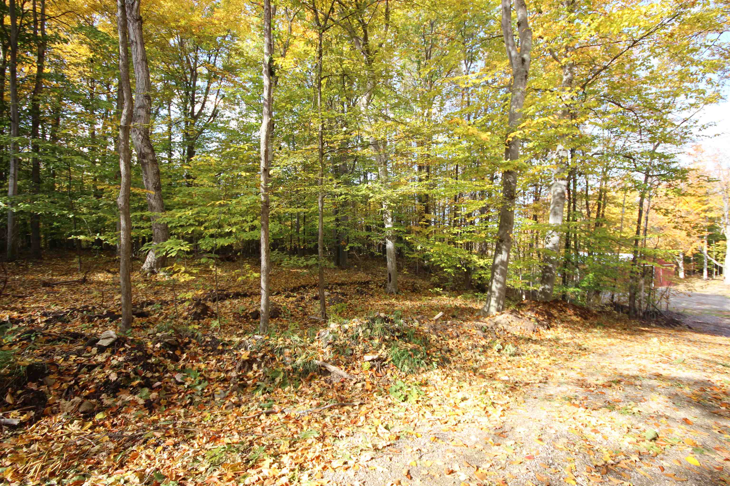 3722 Swaney Road Traverse City, MI 49686 - Photo 42 of 52 Gallery Image 42
